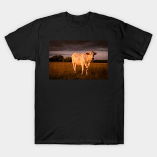 Bullock#9 T-Shirt